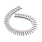 CITEC Collated Coarse Drywall Screw