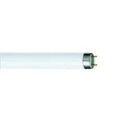 CITEC Fluorescent Tubes