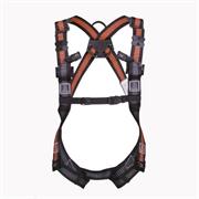 DELTAPLUS Fall Arrest Harness - Dual Coloured